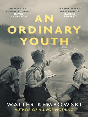 cover image of An Ordinary Youth